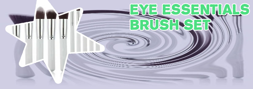 Professional makeup brush set